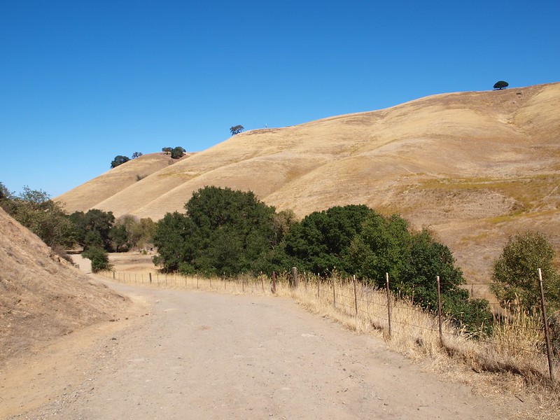 Diablo Foothills Regional Park - Part II