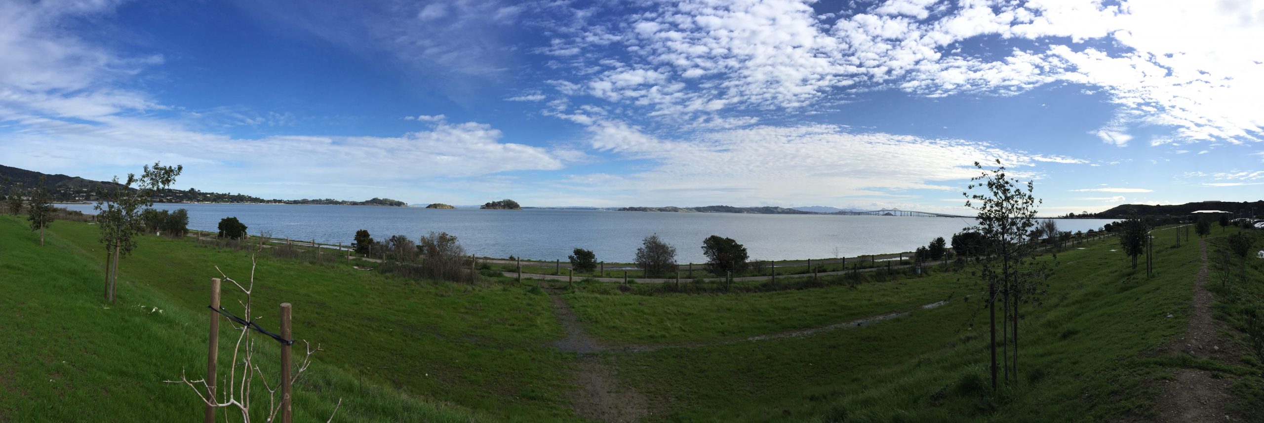 San Pablo Bay Panarama