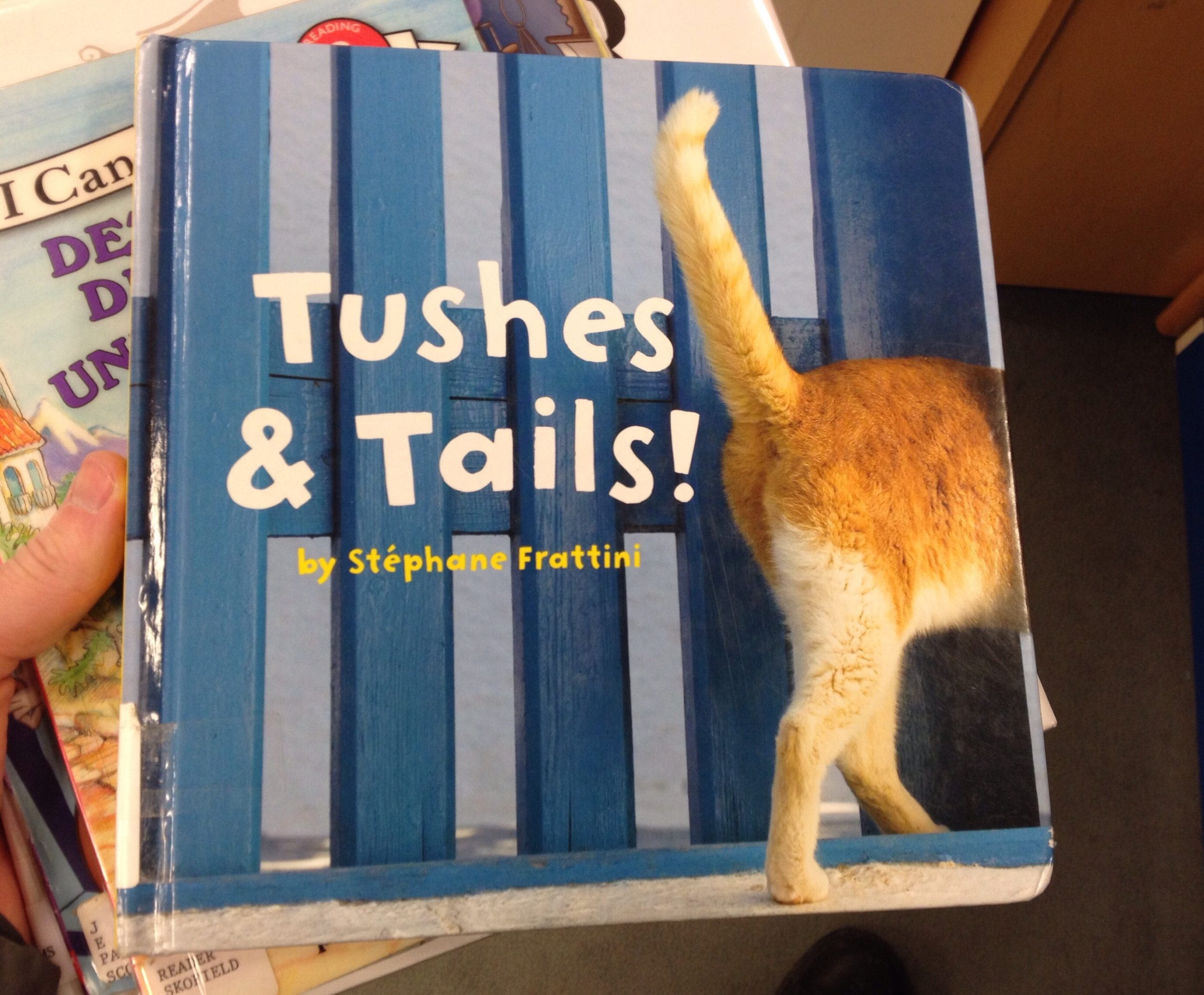 Tushes & Tails Book