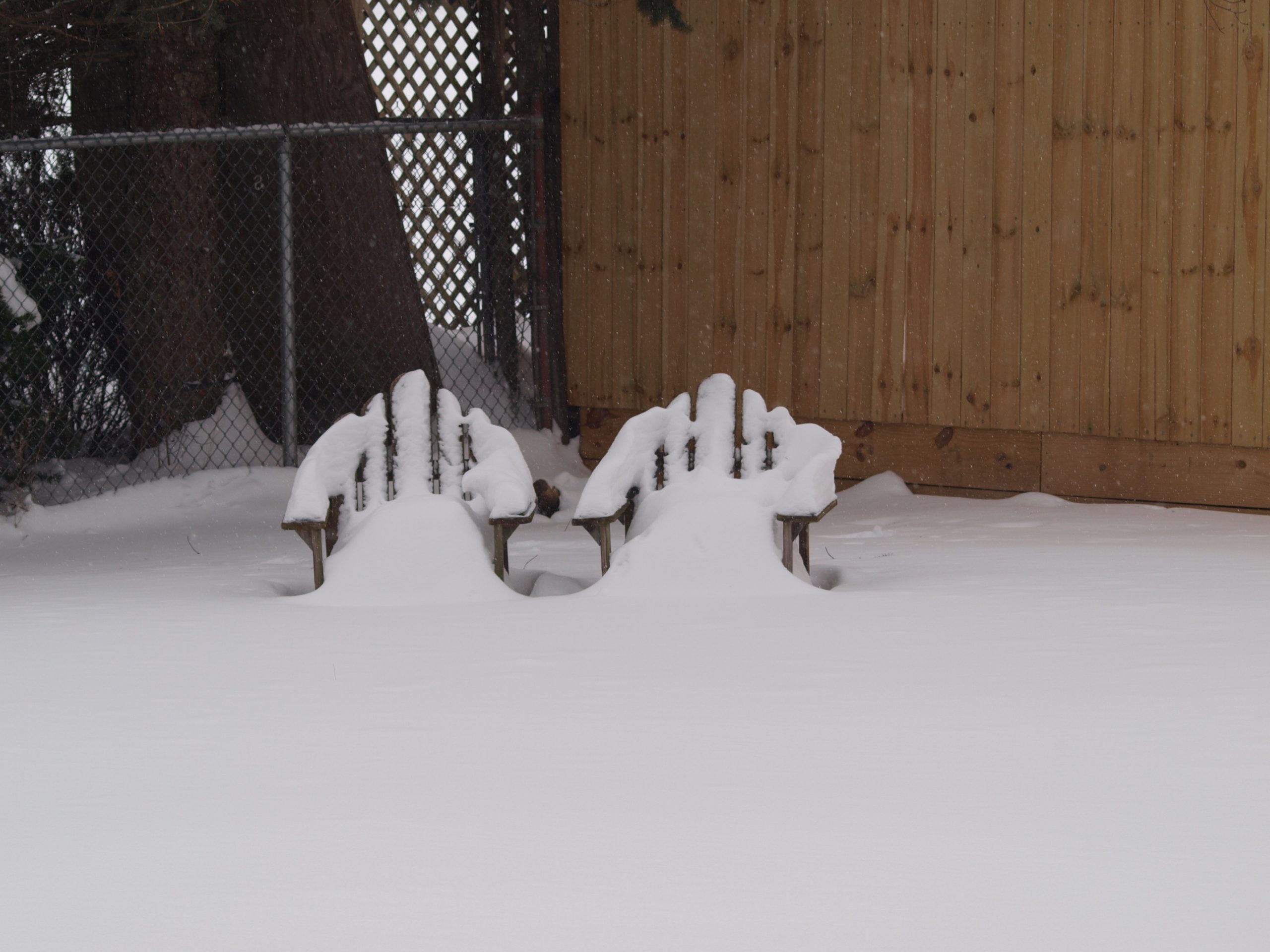 Snow on Adirondack chairs
